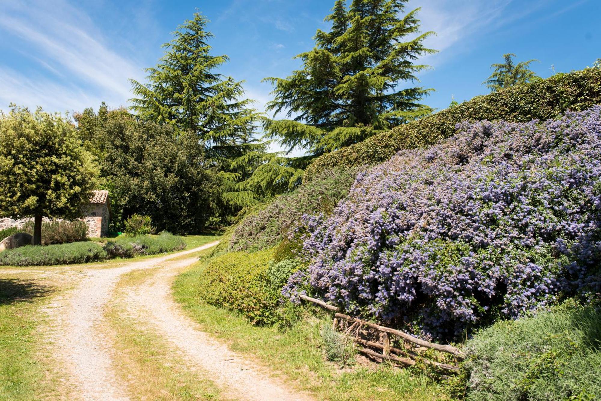 Agri Relais Il Poderaccio Di Bolsena Buitenkant foto
