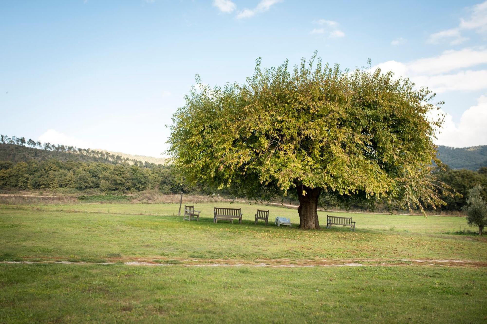Agri Relais Il Poderaccio Di Bolsena Buitenkant foto