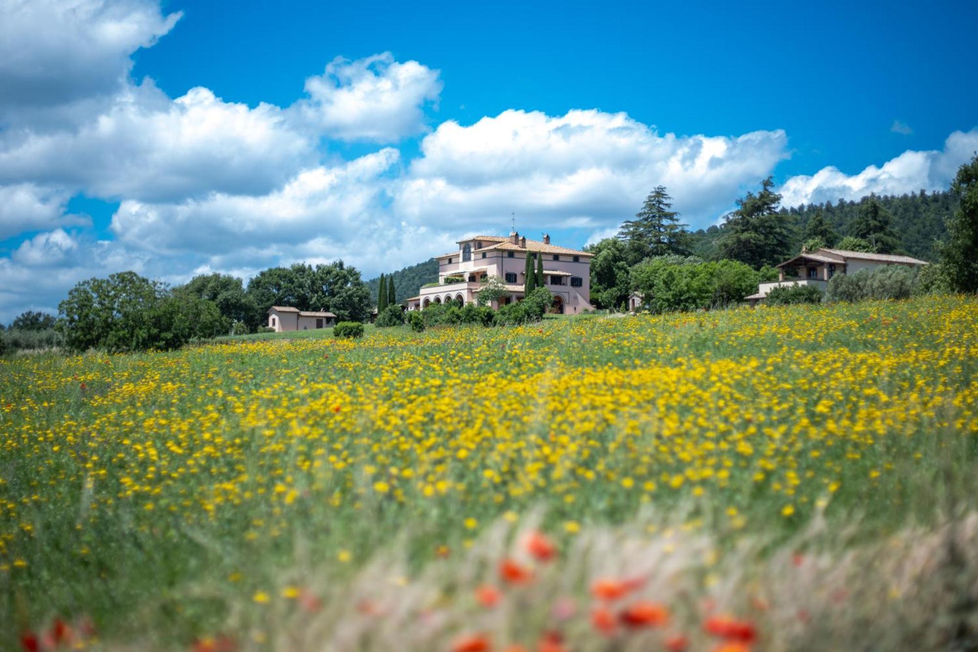 Agri Relais Il Poderaccio Di Bolsena Buitenkant foto