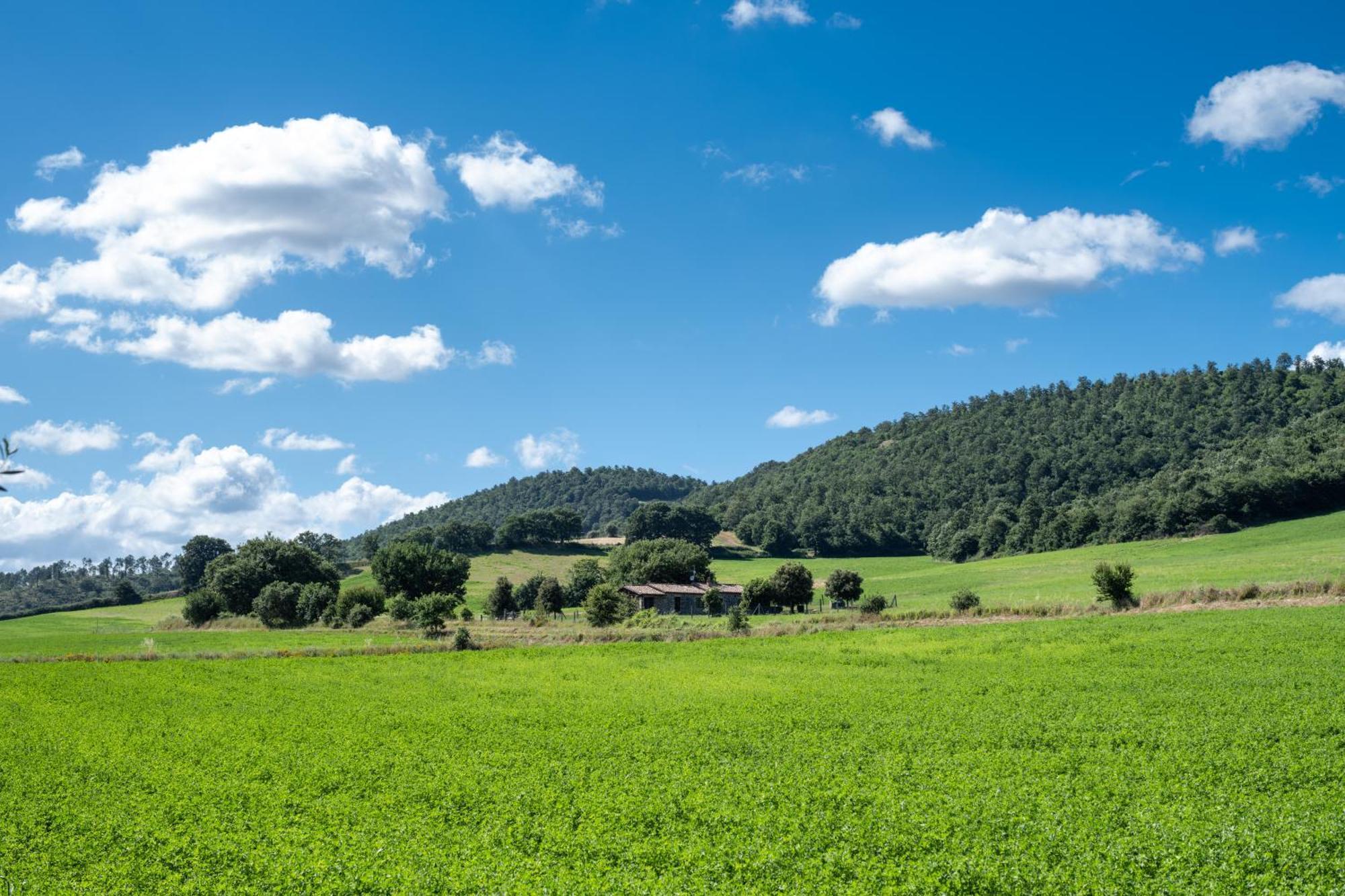 Agri Relais Il Poderaccio Di Bolsena Buitenkant foto