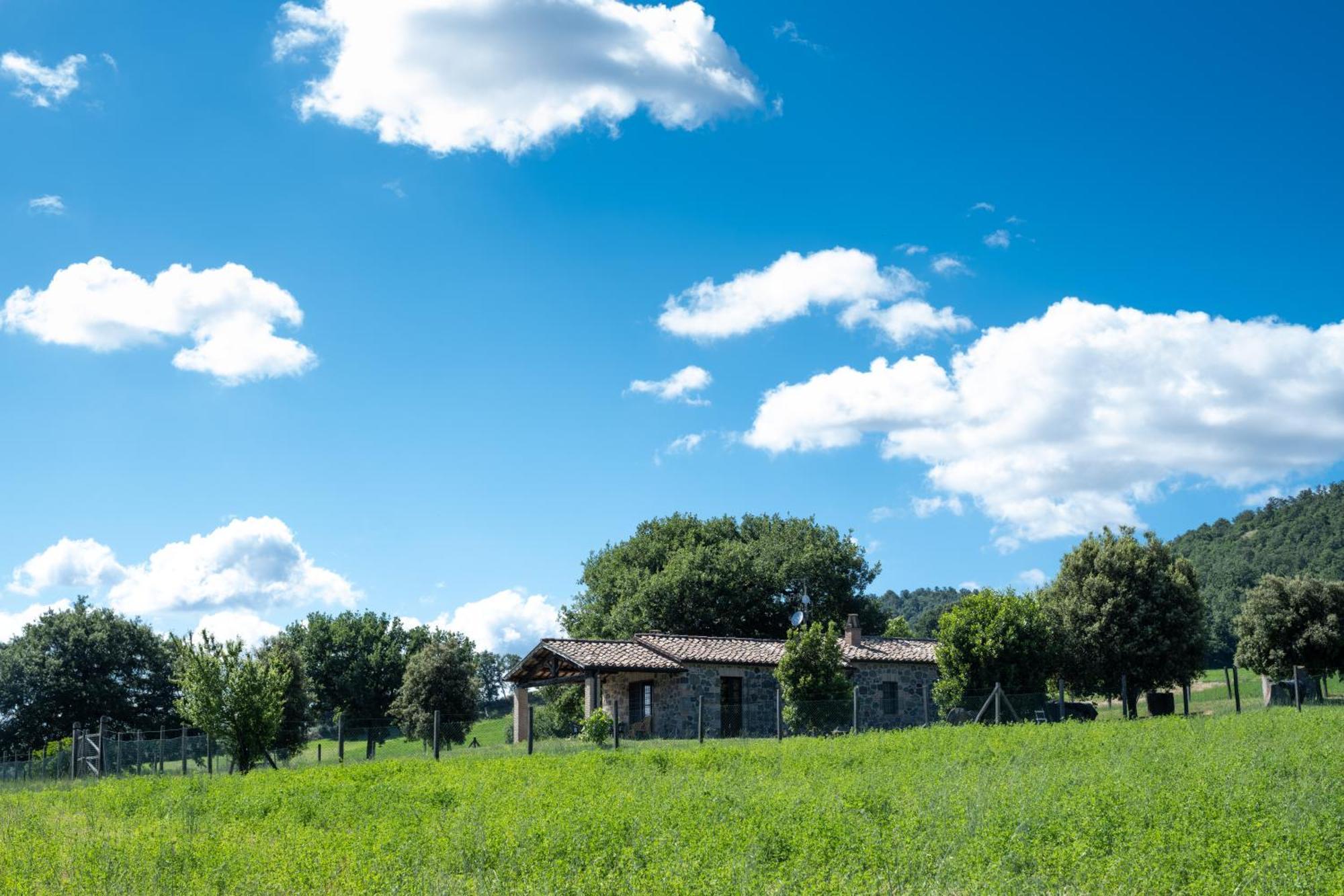 Agri Relais Il Poderaccio Di Bolsena Buitenkant foto