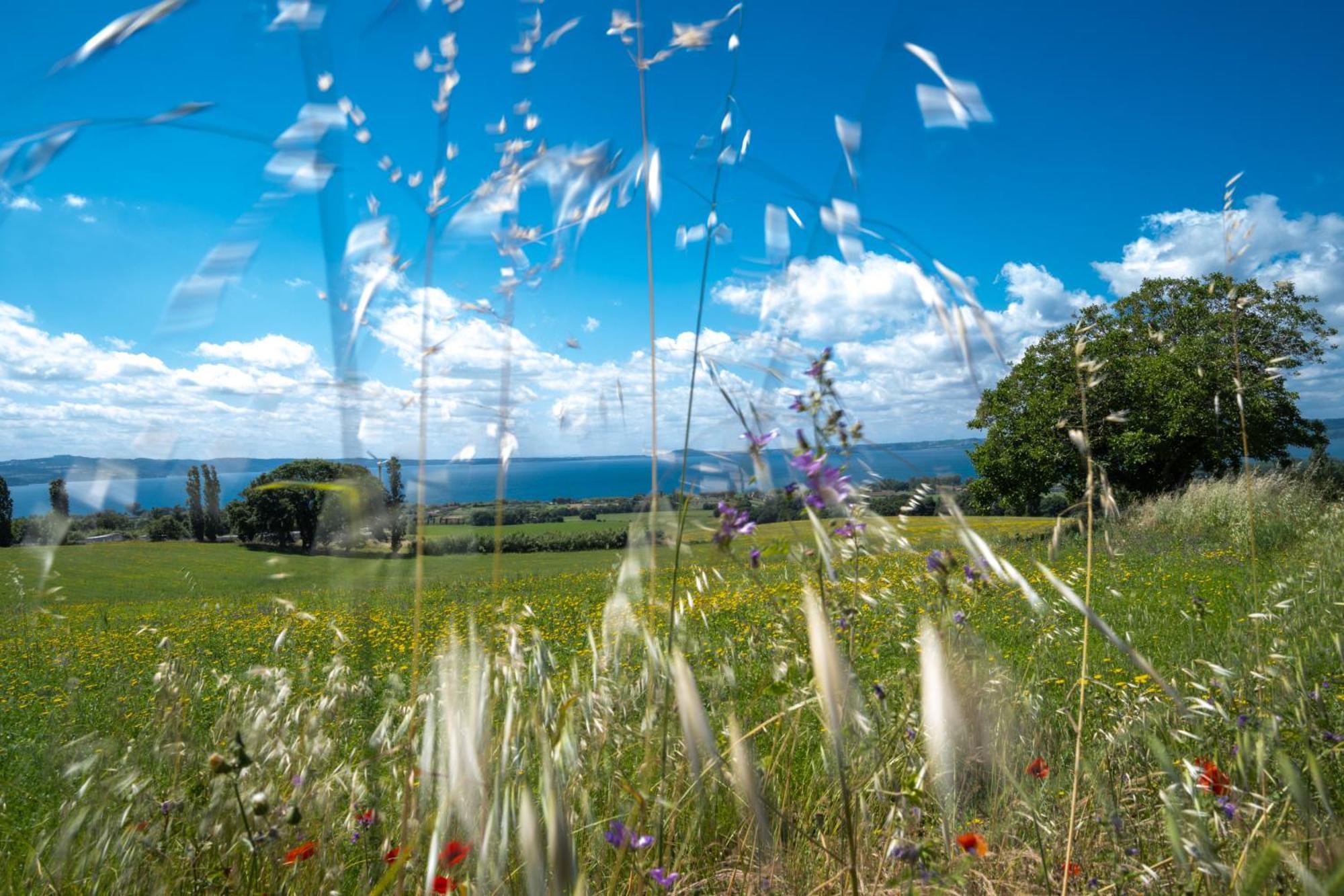 Agri Relais Il Poderaccio Di Bolsena Buitenkant foto