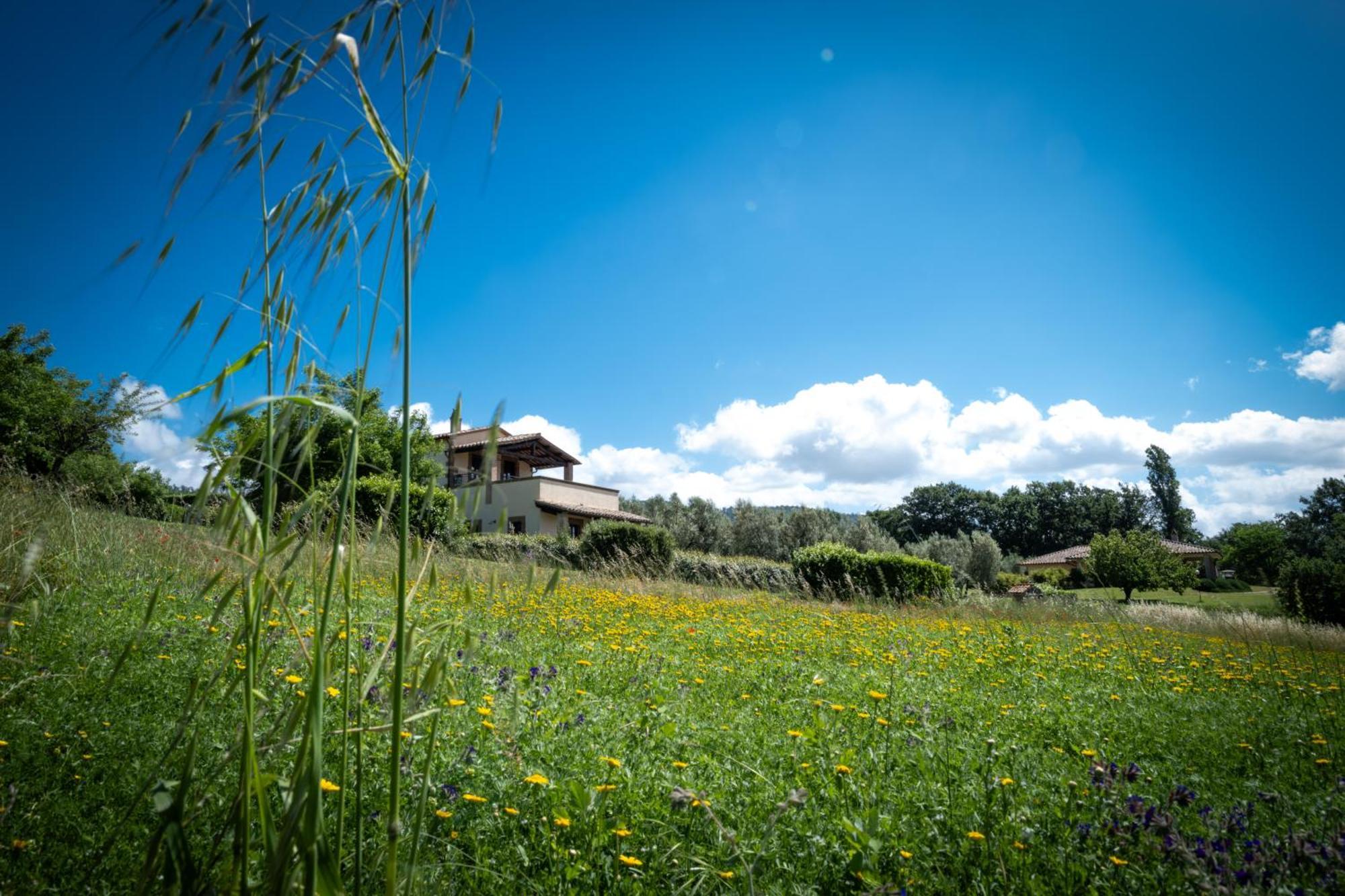 Agri Relais Il Poderaccio Di Bolsena Buitenkant foto