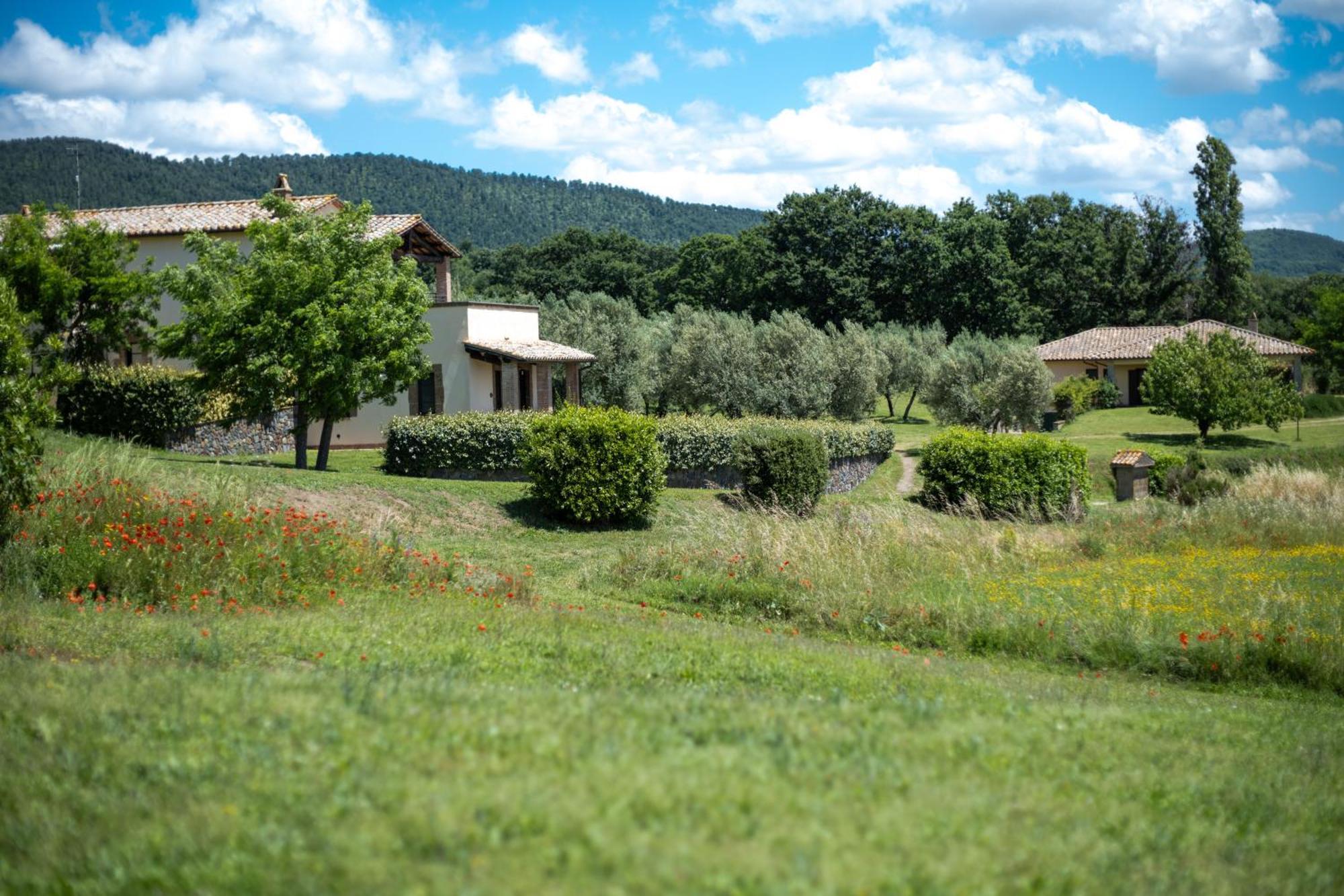 Agri Relais Il Poderaccio Di Bolsena Buitenkant foto